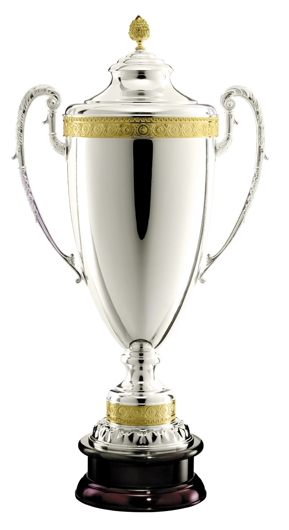 Silver Plated Italian Metal Cup with Solid Wood Base - Best Trophies